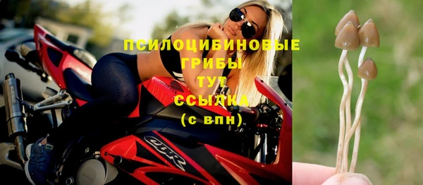 MESCALINE Аркадак